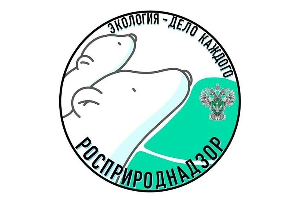 Жители Кубани могут подать заявки на премию «Экология – дело каждого» Фото: admkrai.krasnodar.ru