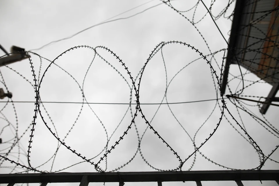 Женщины не знали, что их друг по переписке сидит в колонии