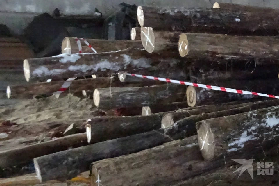 Губернатору Малкову пожаловались на вырубку леса в Клепиковском районе.
