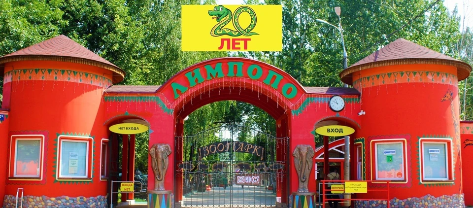 Две новые выставки появятся в зоопарке Лимпопо 4 июля. Фото: официальное сообщество зоопарка «Лимпопо» во «ВКонтакте»