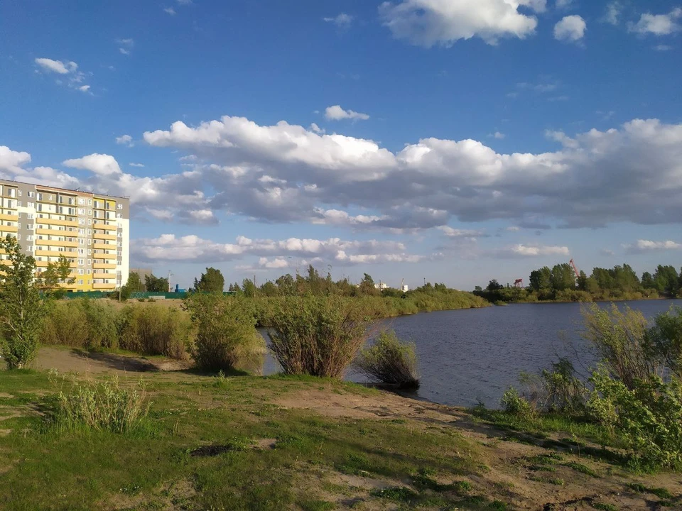 За первый месяц лета ученые проанализировали 71 пробу.