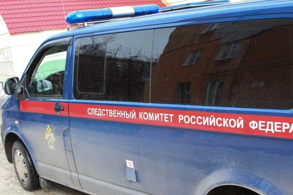 Следственный комитет организовал проверку