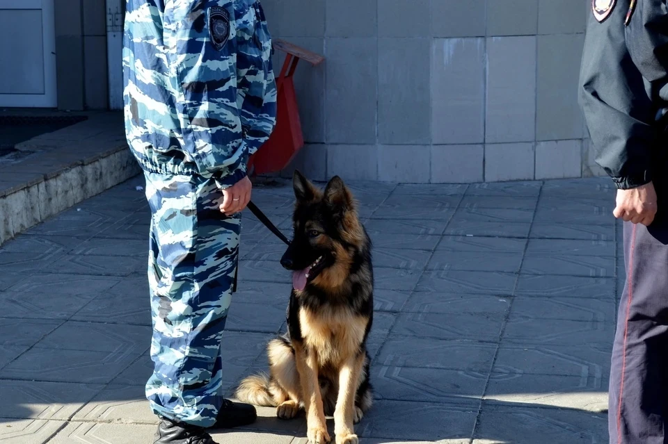 Спецслужбы не нашли взрывных устройств в ТРЦ