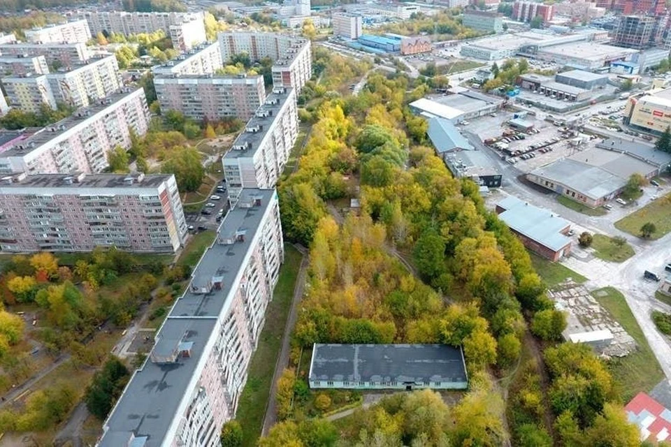 Парк будет располагаться в Советском районе. Фото: "Зеленый Новосибирск"/vk.com/greennsk54