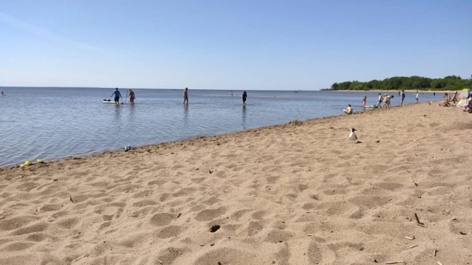 Юным горожанам раздавали буклеты и листовки