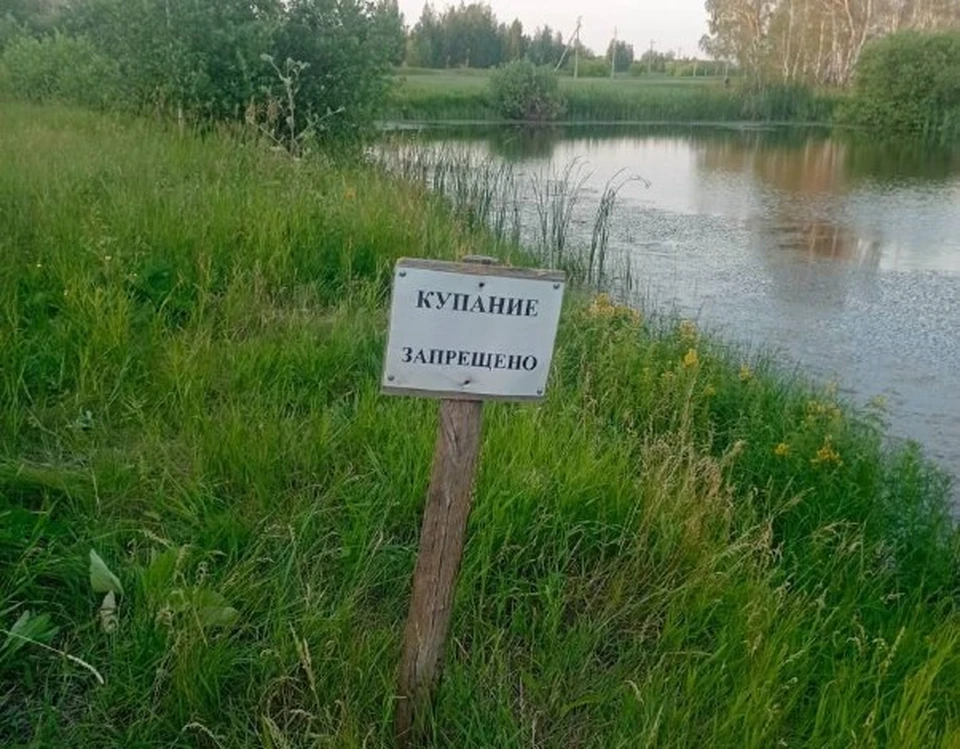 Фото: СУ СКР по Омской области