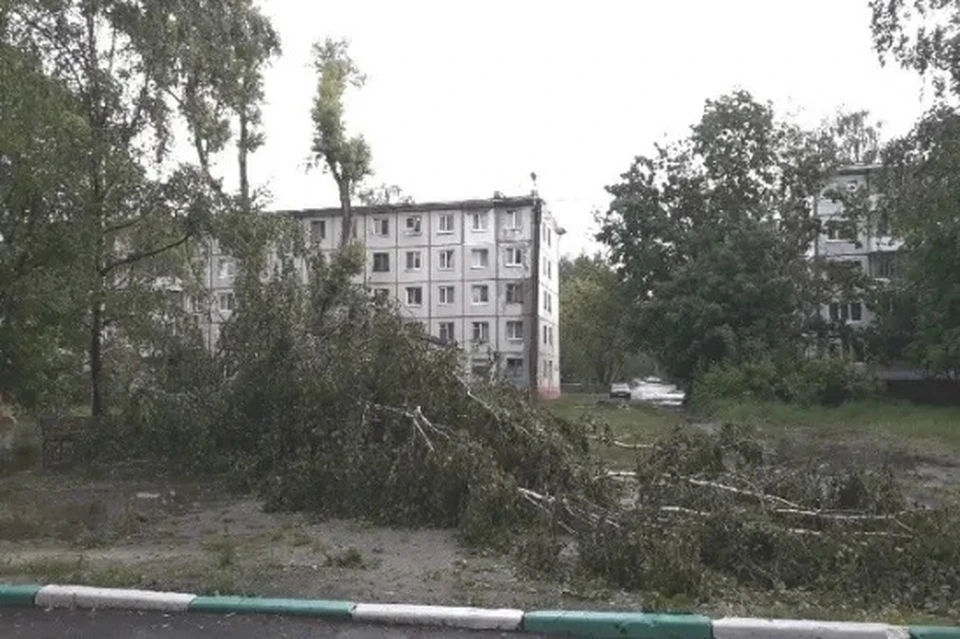 Фото: Надежда ПЕТРУНИНА.