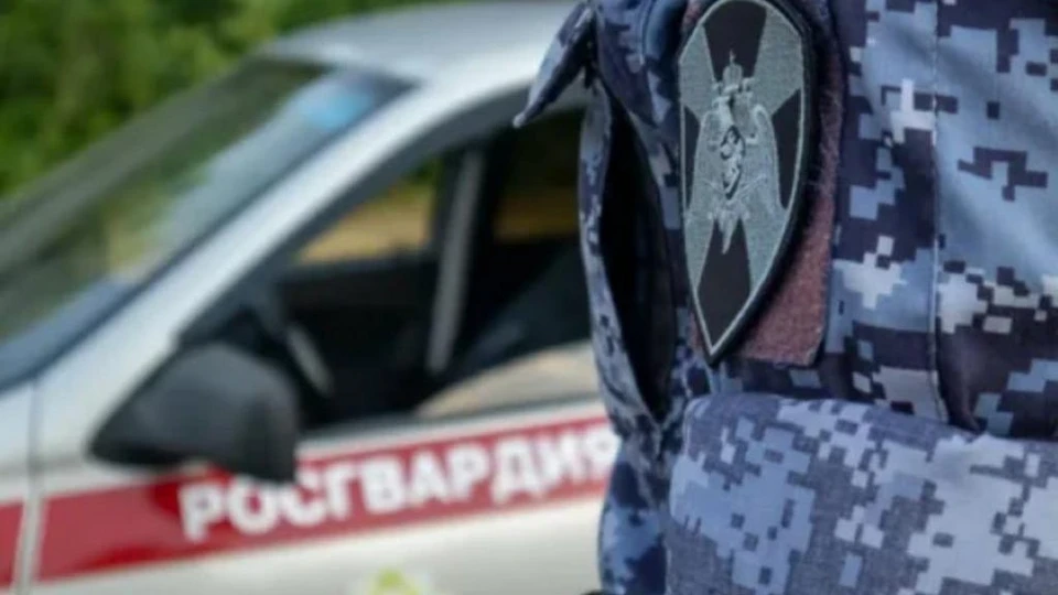 Троих человек в розыске задержали росгвардейцы в ЕАО Фото: Росгвардия ЕАО