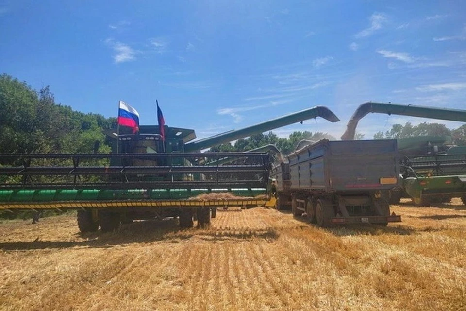 Аграрии соберут урожай на площади порядка 217,5 тысячи гектаров. Фото: Минагропром ДНР