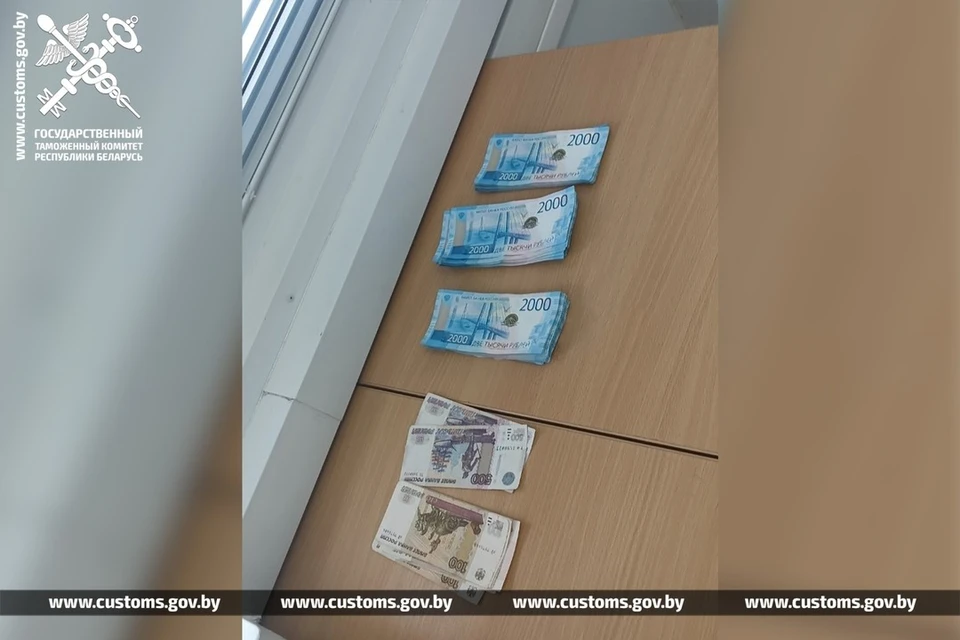 В ГТК рассказали, что гражданин России незаконно пытался ввезти из Германии $115 тысяч. Фото: customs.gov.by