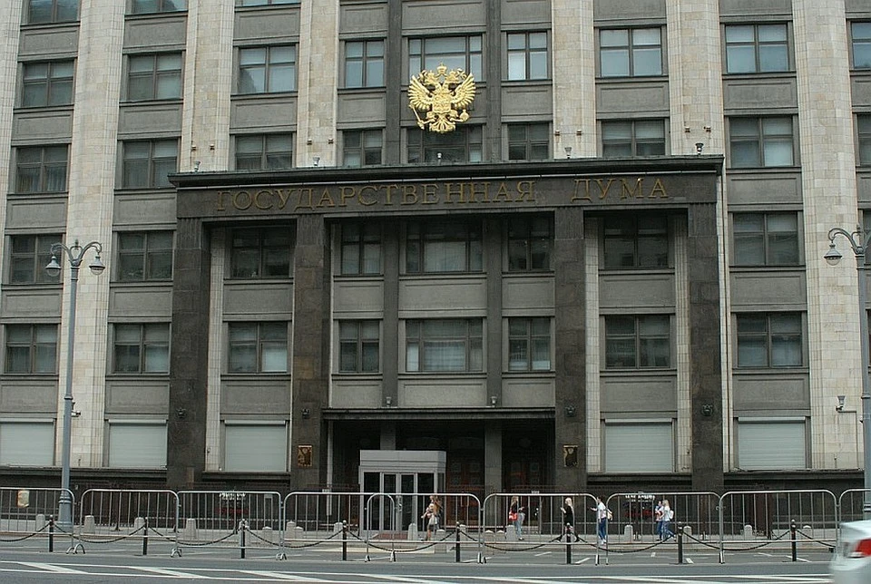 В Госдуме предложили считать семьи с двумя детьми многодетными