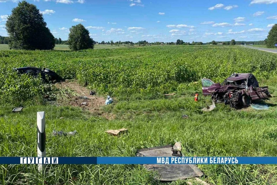 В Петриковском районе столкнулись две легковушки. Фото: ГУ ГАИ МВД