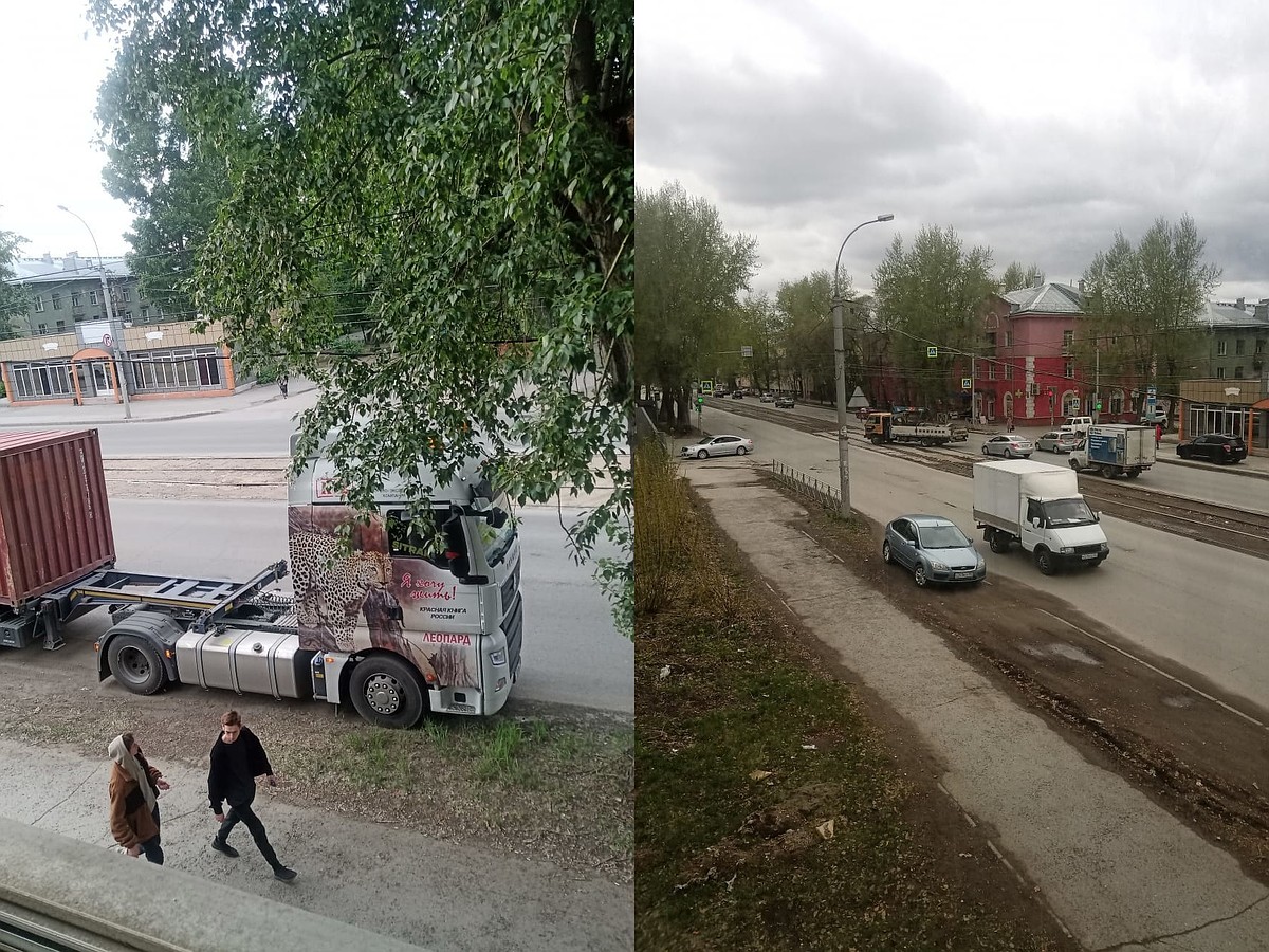 «От сквера остались одни кусты да пеньки»: в Новосибирске пожаловались на  вырубку деревьев на улице Мира - KP.RU