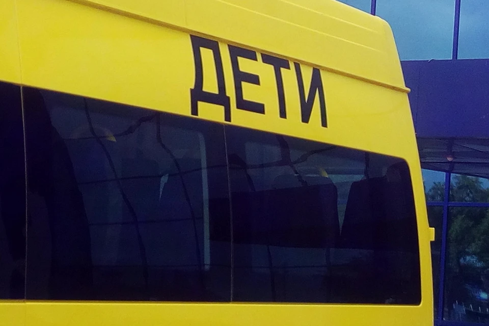 В июне пришкольные лагеря Тюменского района посетили 3145 ребят