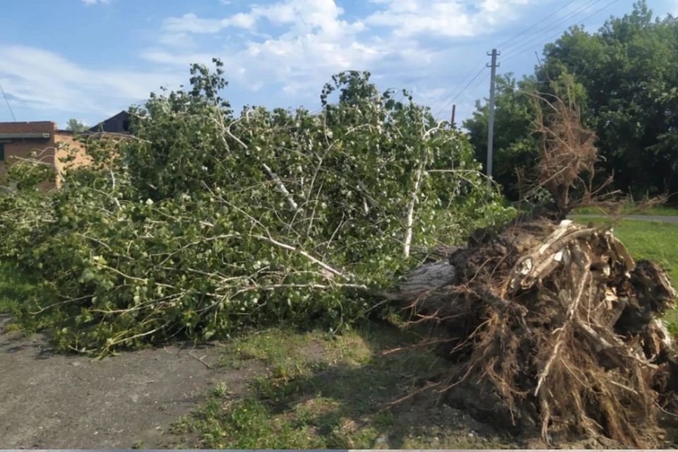 Ураган сломал шатры в Яровом и в Камне-на-Оби на Алтае. Фото: Герман Архаров, КП-Барнаул