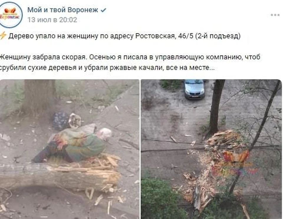 Пожилая женщина после падения на нее сухого дерева.