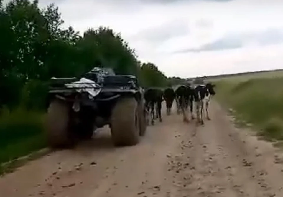 Беглянок выловили и сопровождали домой охотники.
