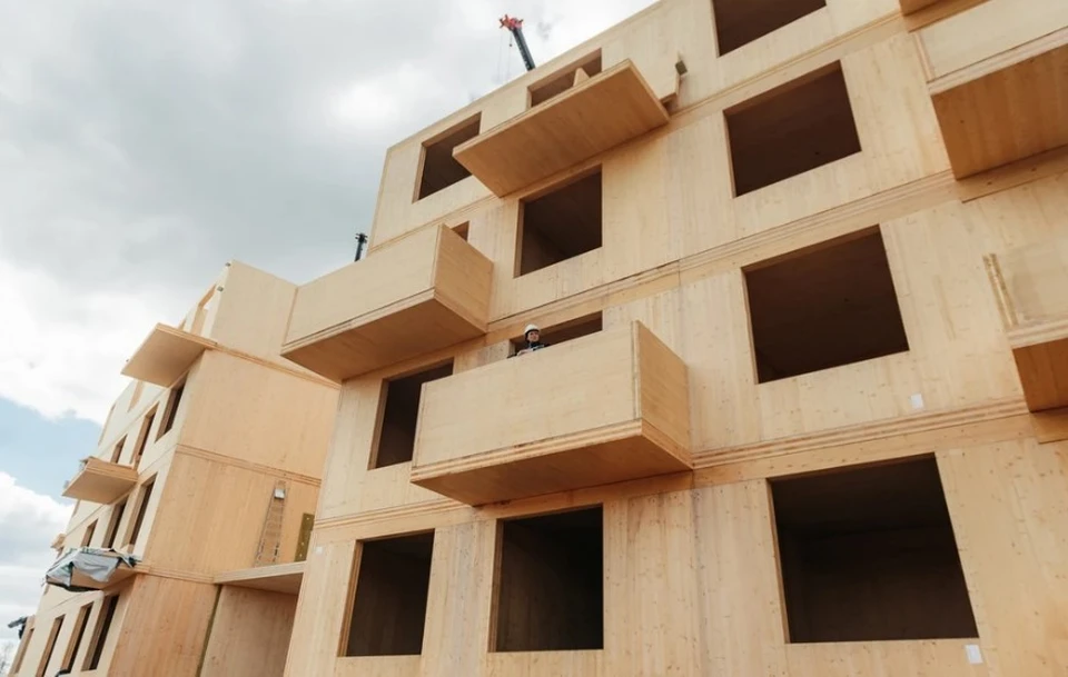 В Подмосковье будут строить деревянные 9-этажки: кто в них будет жить и  сколько это будет стоить - KP.RU