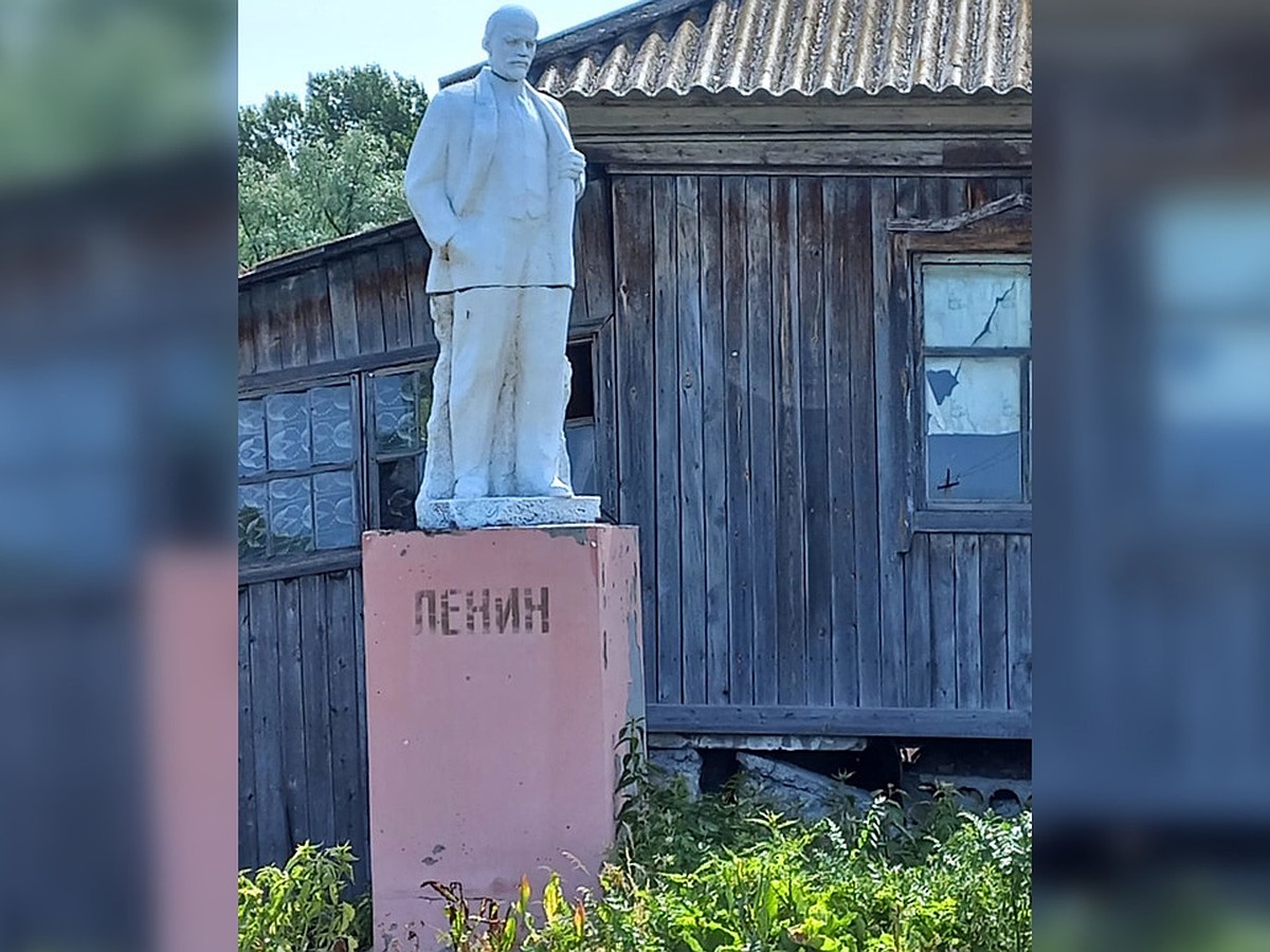 Раритеты со свалок. Житель Алтая создал во дворе ветхого дома музей под  открытым небом - KP.RU