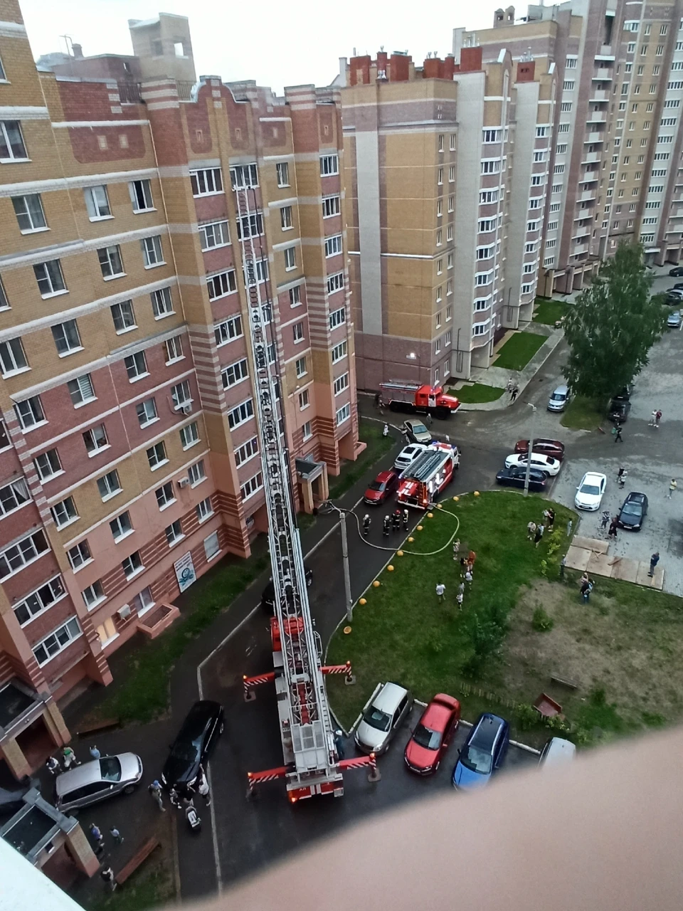 В Костроме из-за возгорания в квартире многоэтажки огнеборцы эвакуировали 7  человек - KP.RU