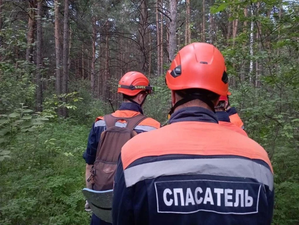 Фото: cлужба спасения Красноярского края