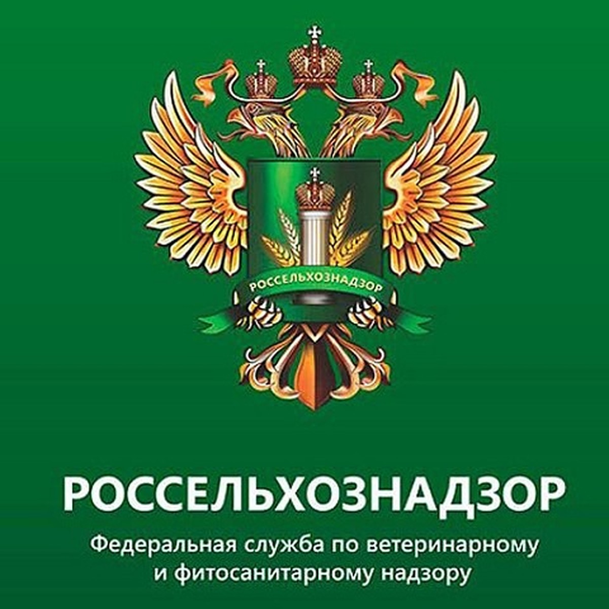 Управление Россельхознадзора по Омской области проведет публичные  обсуждения результатов правоприменительной практики - KP.RU