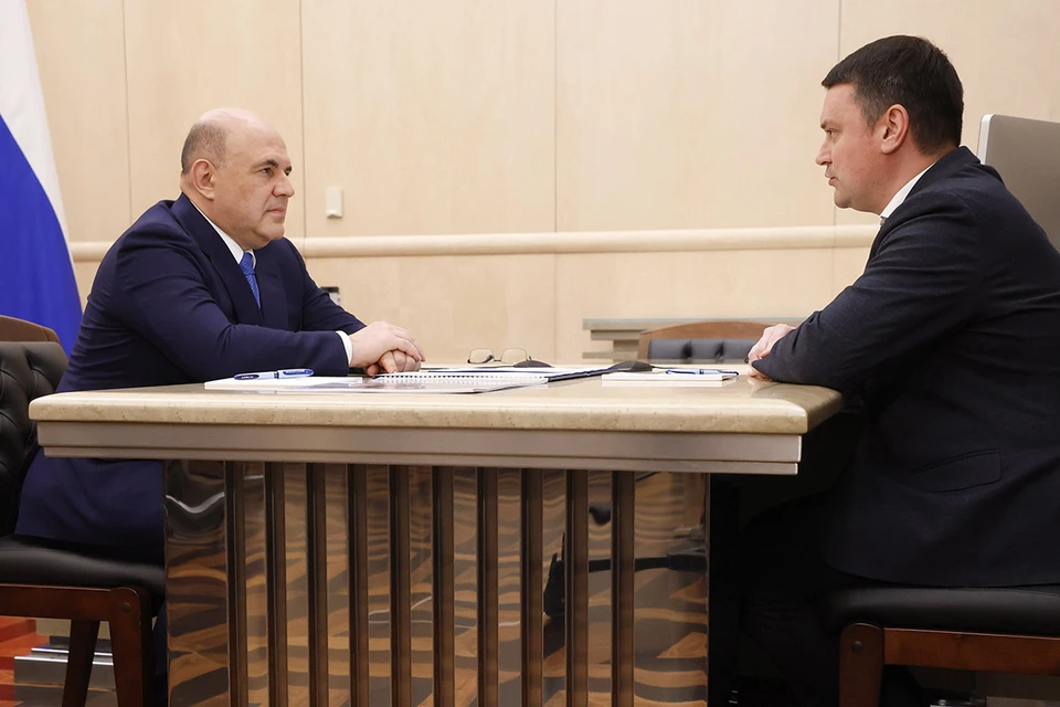 Михаил Мишустин поручил перевести все соцуслуги в электронный вид. Фото: Дмитрий Астахов/POOL/ТАСС