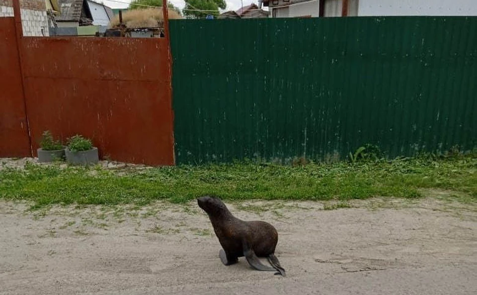 фото: Мудрый Рух