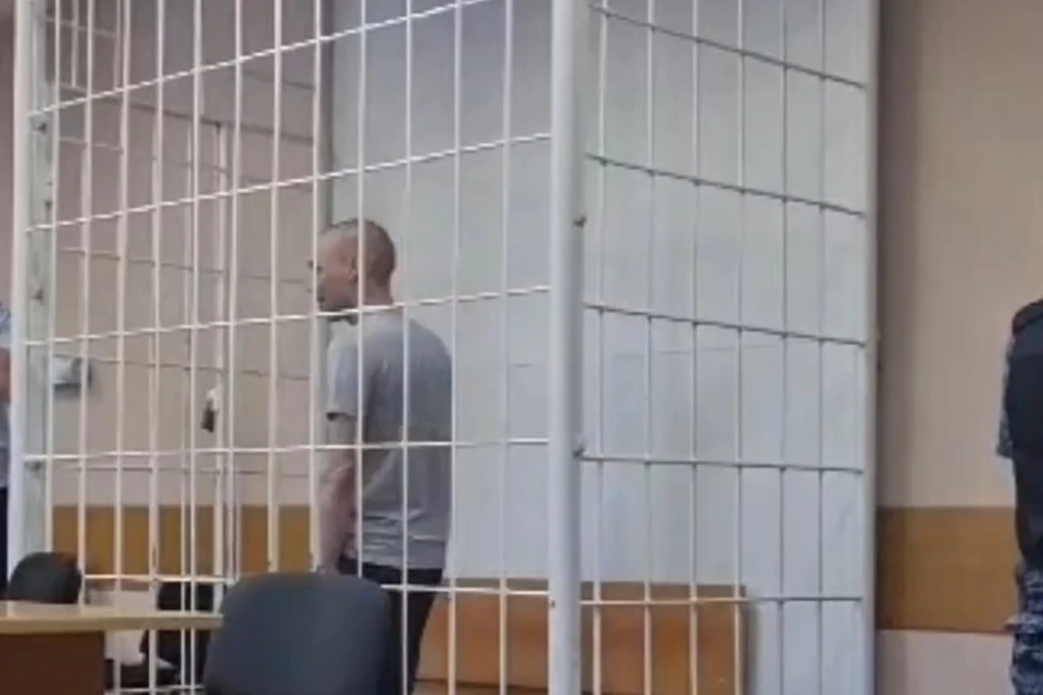 В Бикине осудили мужчину, хладнокровно убившего человека Фото: скриншот из видео