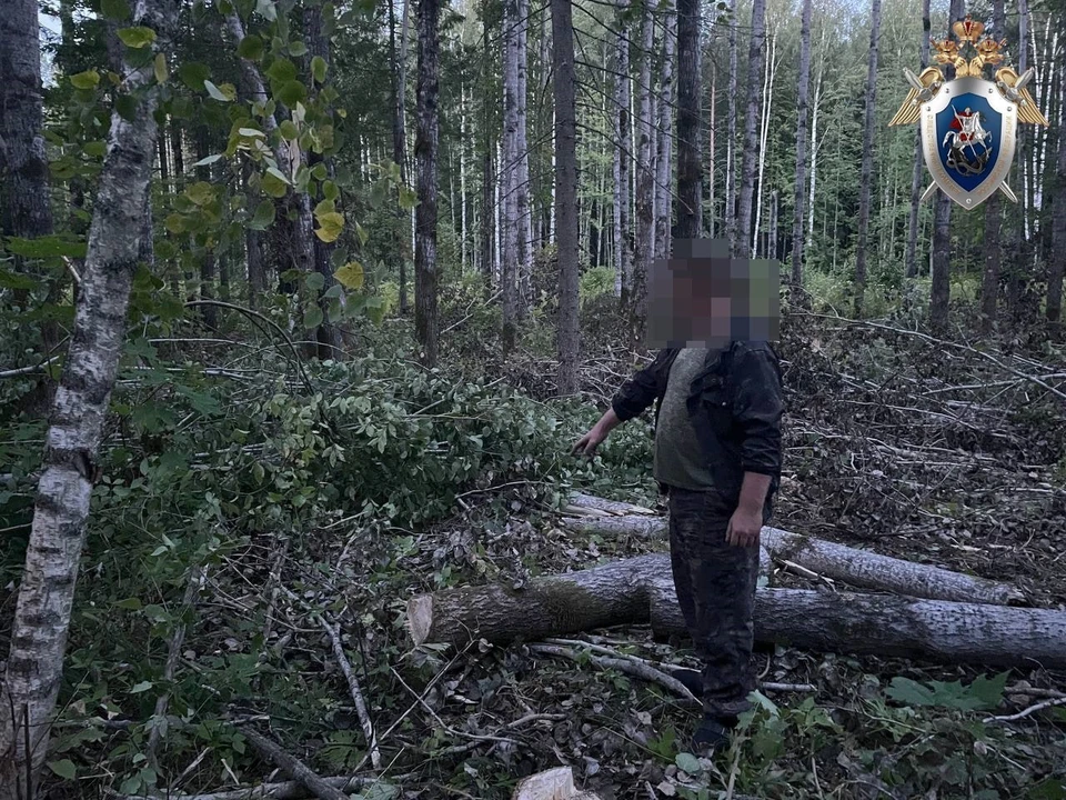 Уголовное дело завели после гибели рабочего в Краснобаковском округе. Фото: СУ СКР по Нижегородской области.