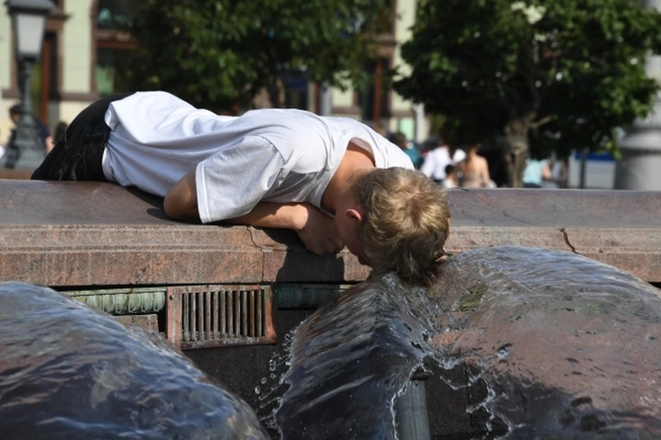 В Ростов пришла аномальная жара