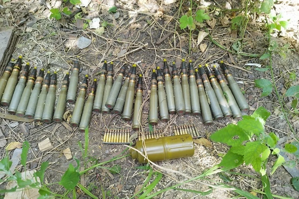 В Славяносербском районе полицией из незаконного оборота изъяты боеприпасы. Фото - МВД ЛНР