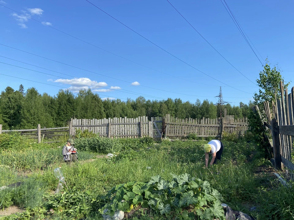 Фото предоставлено КП