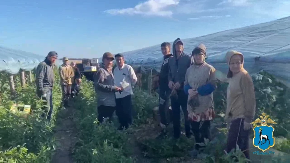 Профилактические мероприятия прошли в Волжском районе