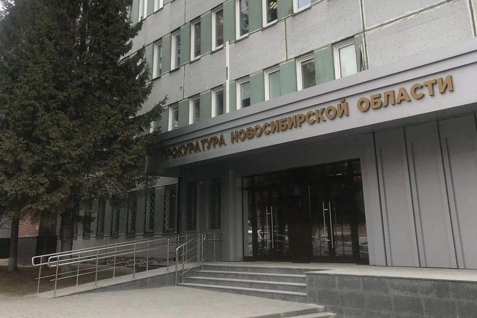 Прокуратура организовала проверку после травмирования ребенка на детской площадке в Новосибирске. Фото: прокуратура НСО