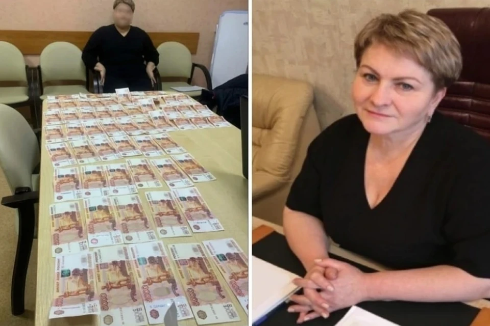 Экс-главврача Центра гигиены и эпидемиологии Елену Паненкову выпустили из СИЗО Рязани.
