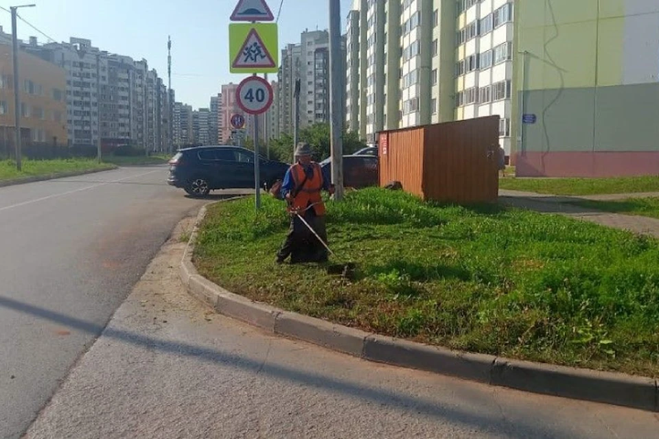ГДМС, к примеру, за 20 дней обещает привести в порядок газоны на своих участках. Фото: киров.рф
