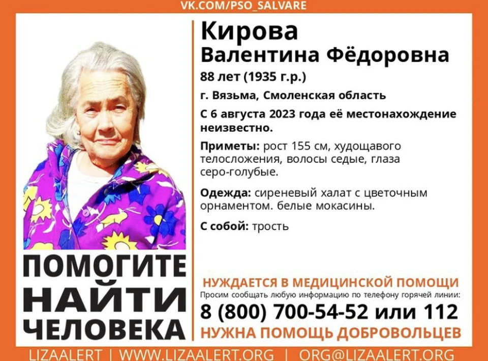 88-летняя пенсионерка пропала в Смоленской области. Фото: ПСО «Сальвар».