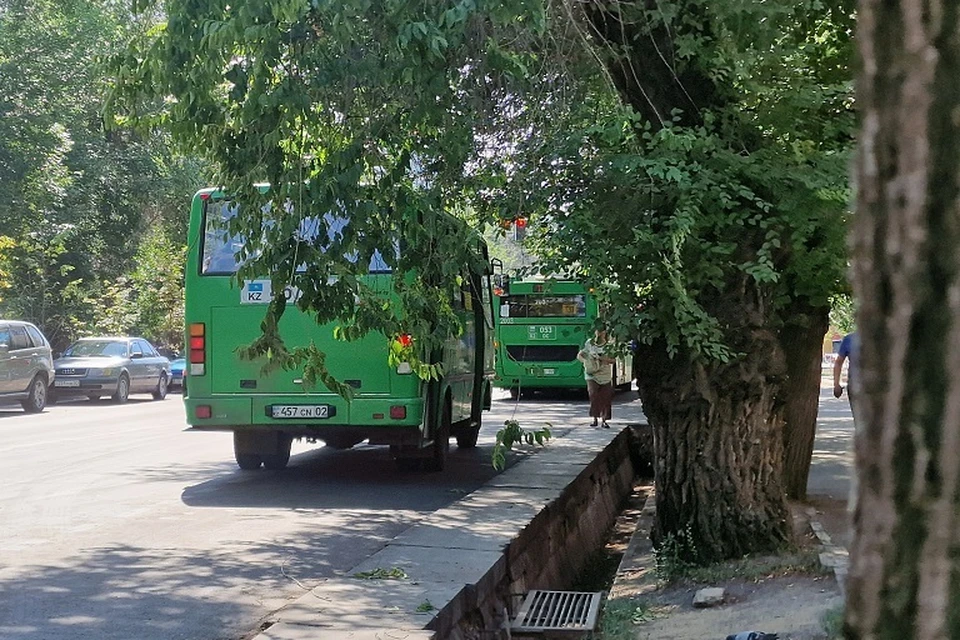 В автобусах Астаны хотят поменять систему оплаты проезда из-за безбилетников.