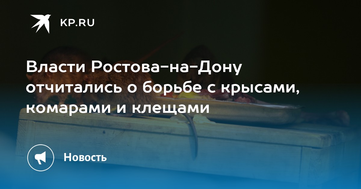 Бампера ростов на дону