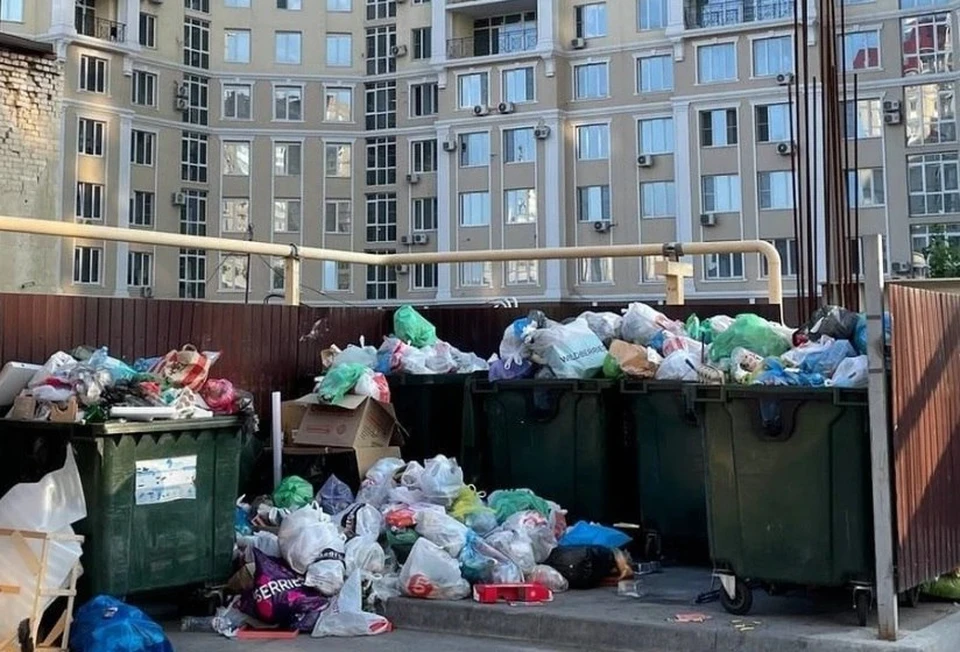 Горы мусора в Волгограде привели к нашествию крыс