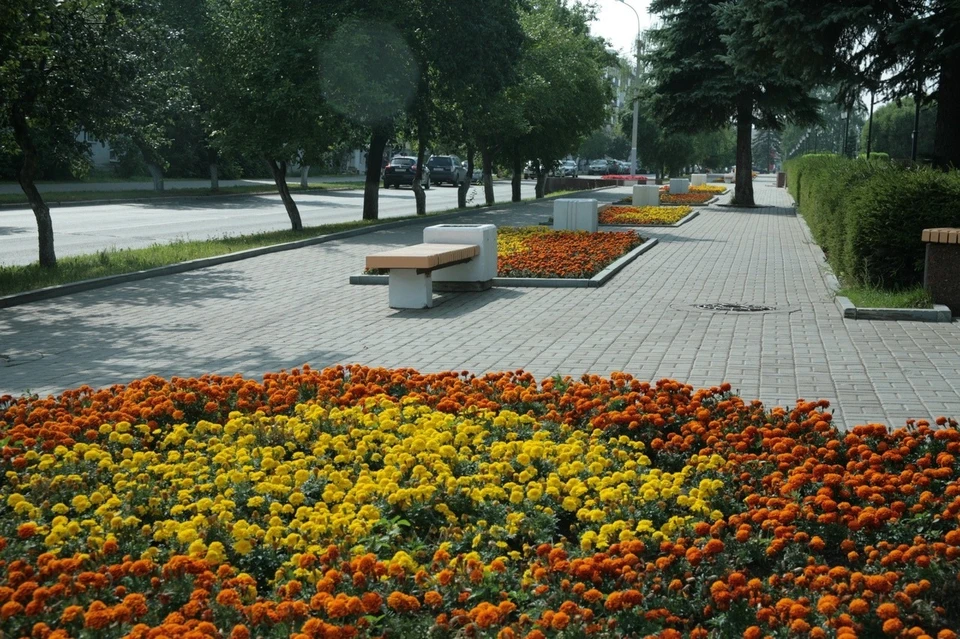Традиционный утренний обзор. Фото: архив КП в Ижевске
