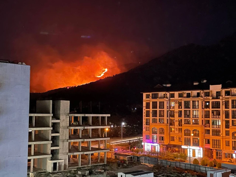 Местные жители и туристы всю ночь помогали тушить пожар в Геленджике.