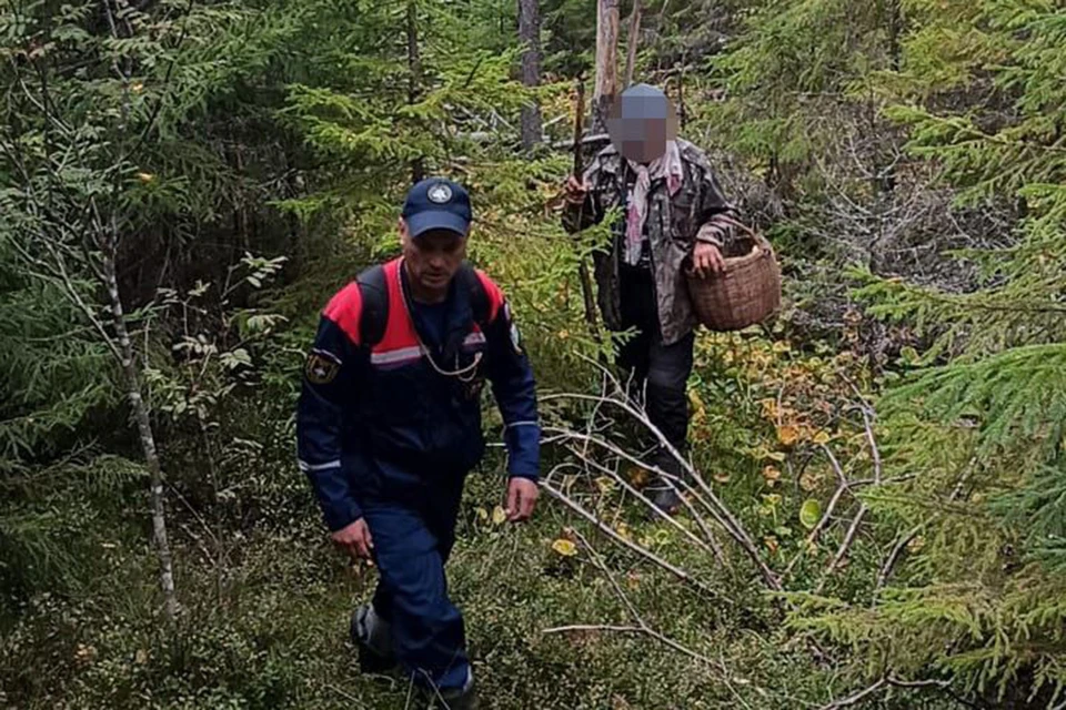 Спасатели вывели блуждавшего несколько часов по лесу жителя Ленобласти. Фото: t.me/acclenobl
