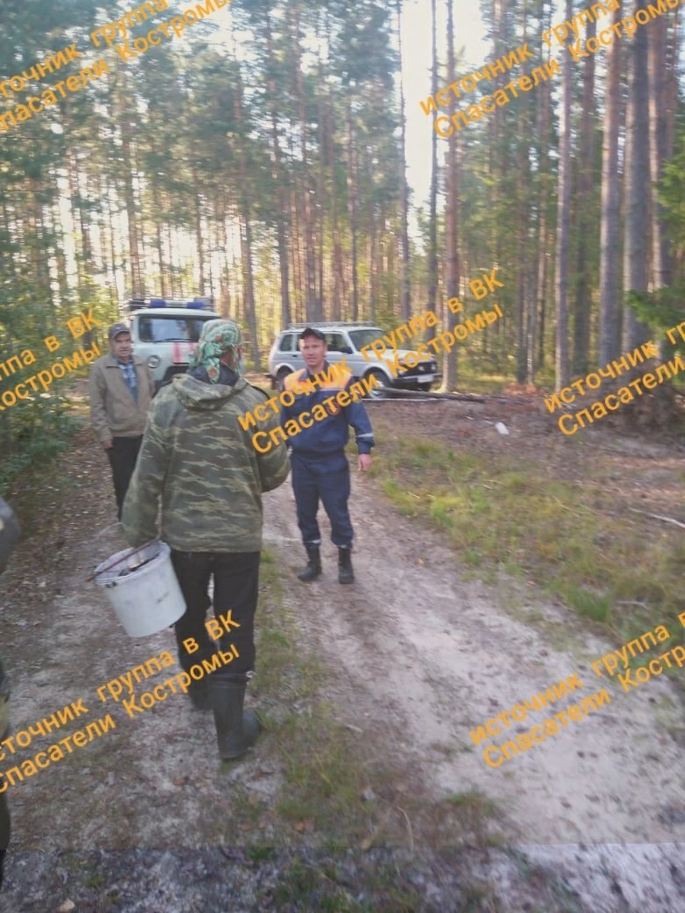 В костромском лесу всю ночь искали заблудившегося грибника. Фото: ОГБУ «Пожарно-спасательная служба» Костромской области