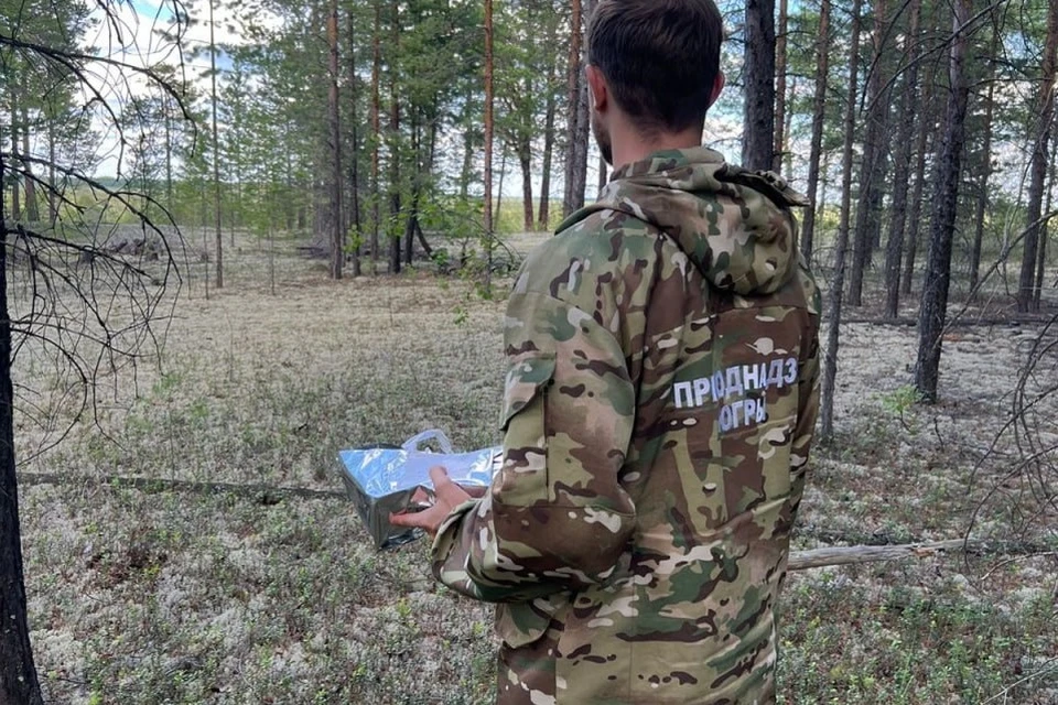 В Ханты-Мансийске обнаружили новый очаг бешенства. Фото: Природнадзор Югры