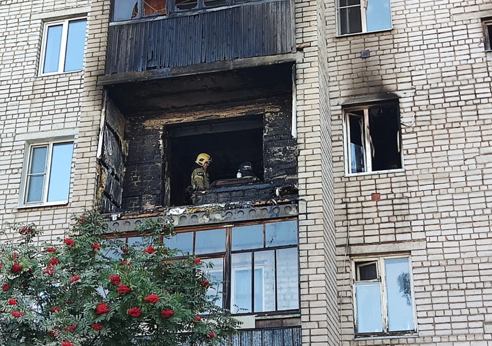 Новости выльгорт