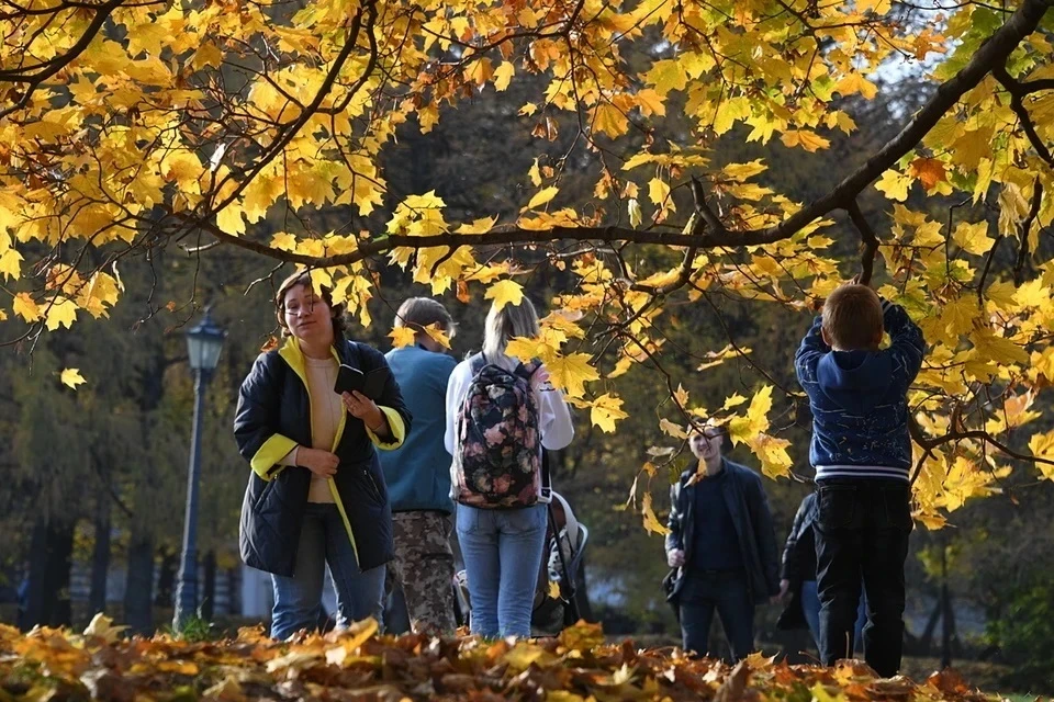 В регионе прогнозируют переменную облачность, преимущественно без осадков