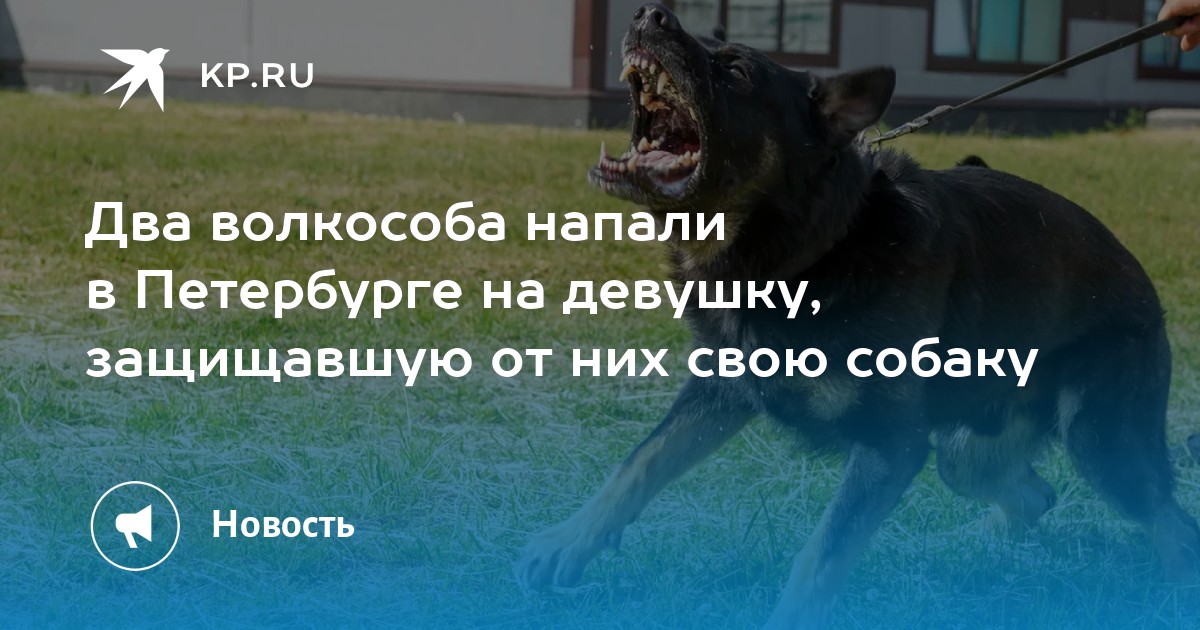 девушка пытается защититься от собаки