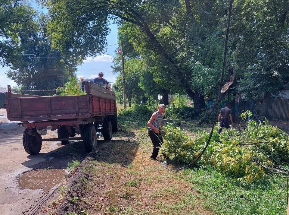 Шквалистый ветер повалил деревья и оборвал провода. Фото: телеграм-канал Токмак Пресс-центр